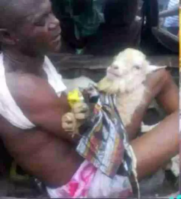 See How A Goat Thief Was Disgraced In Akure (Photos)